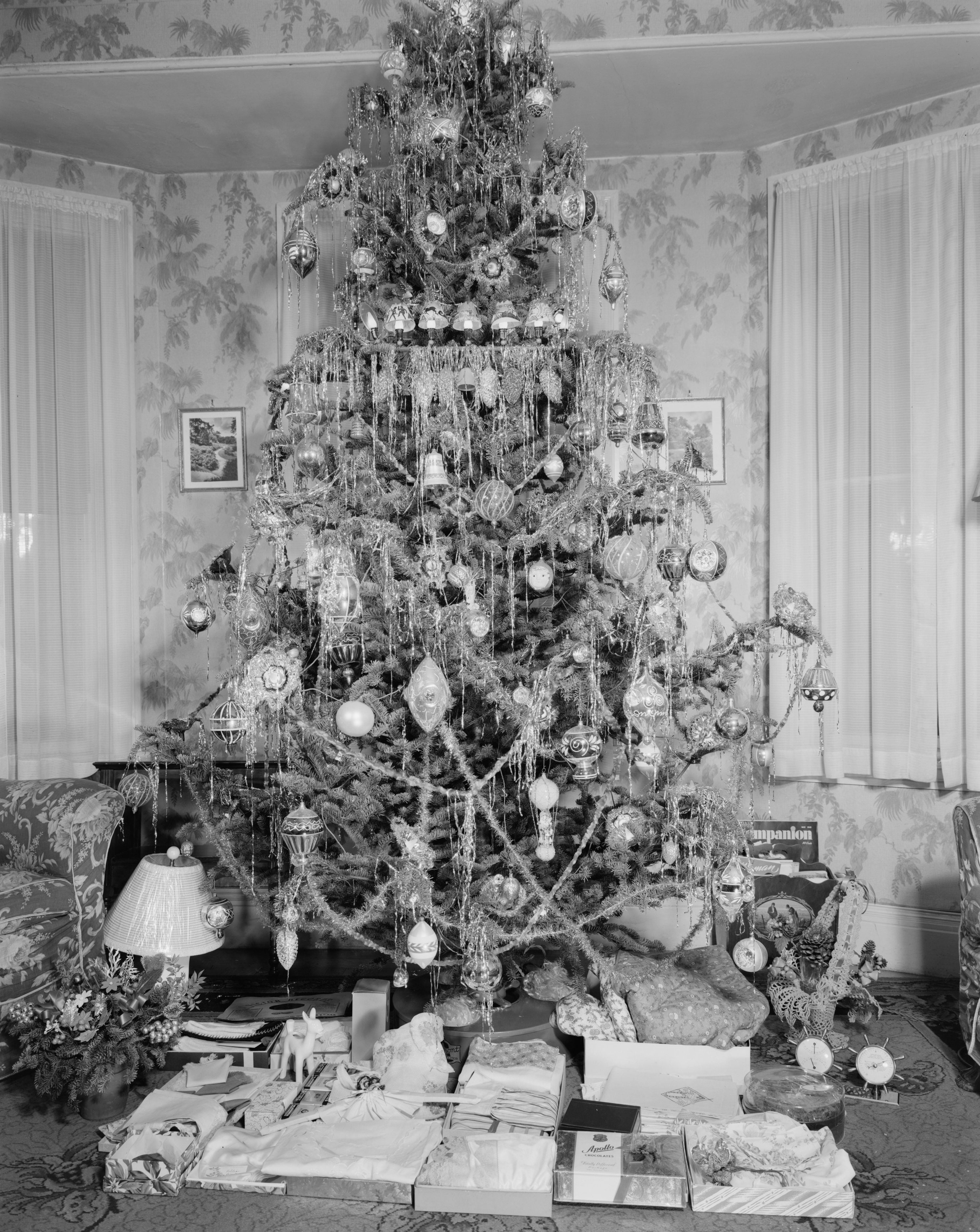 December 2024 Newsletter