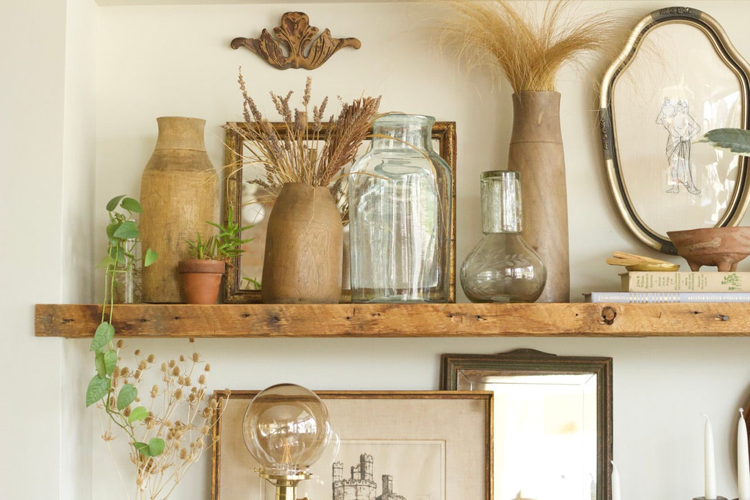 November 2025 Newsletter