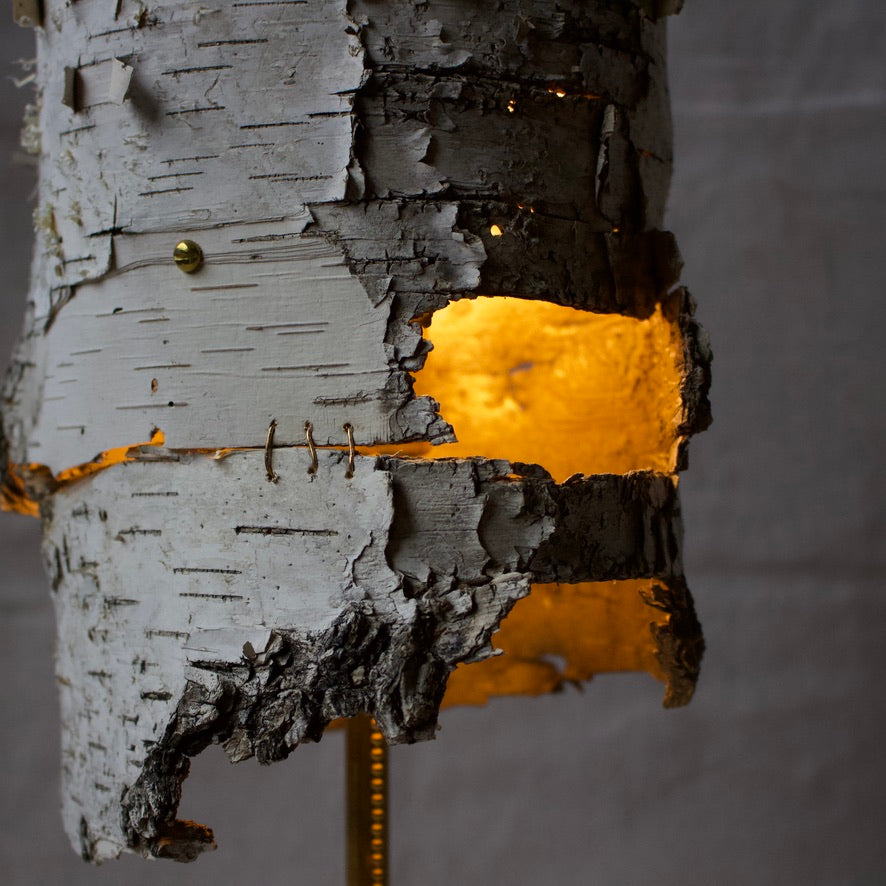 Birch Shade Lamp