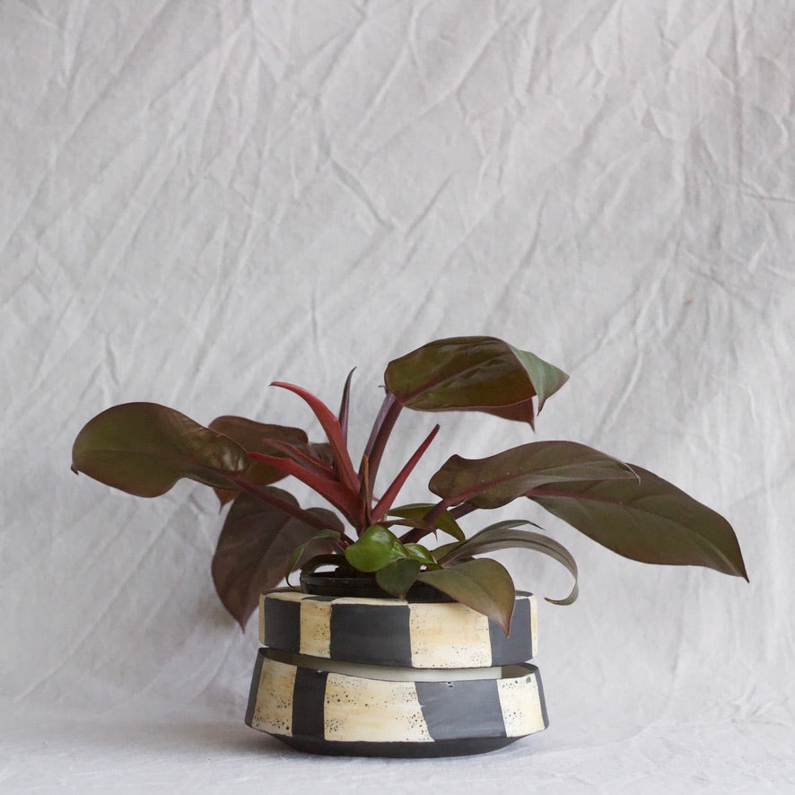 Cara Taylor Double-Wall Planter B/W