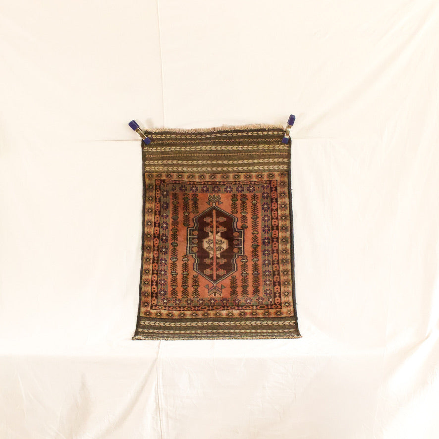 Rug #160