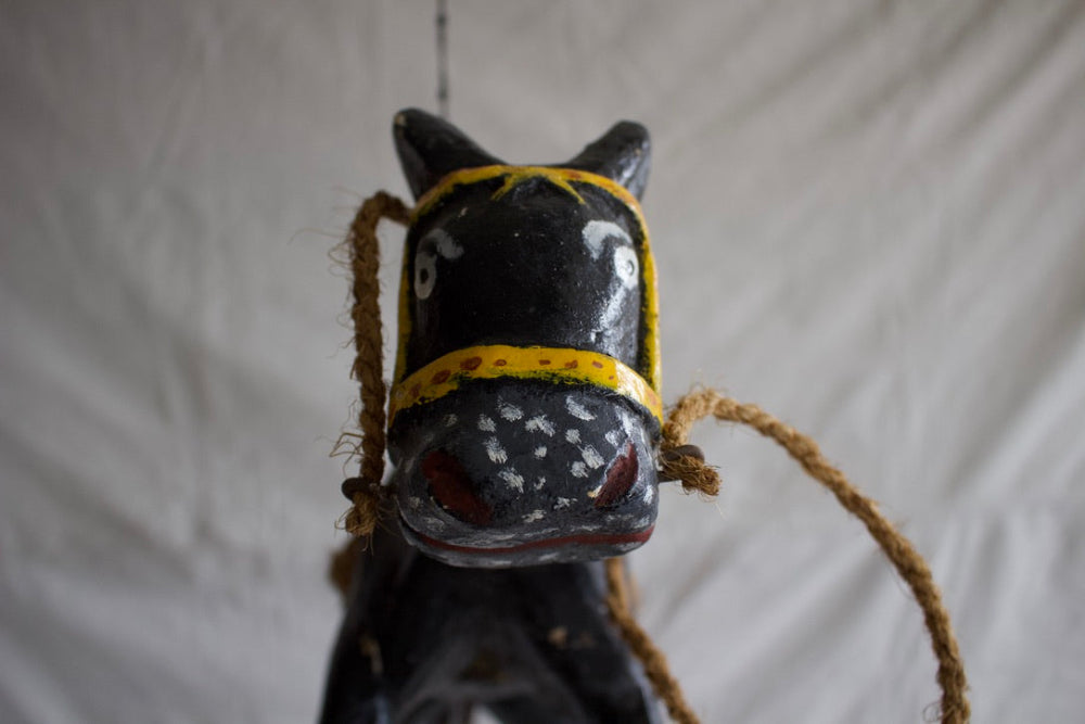 Mexican Folk Art Horse Costume