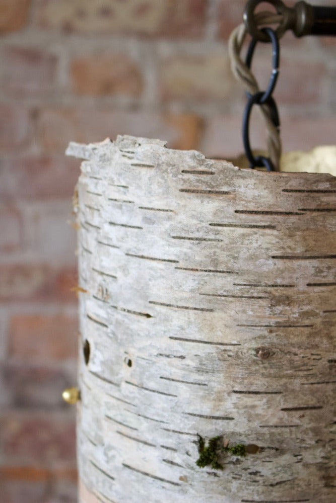 Birch Floor Lamp