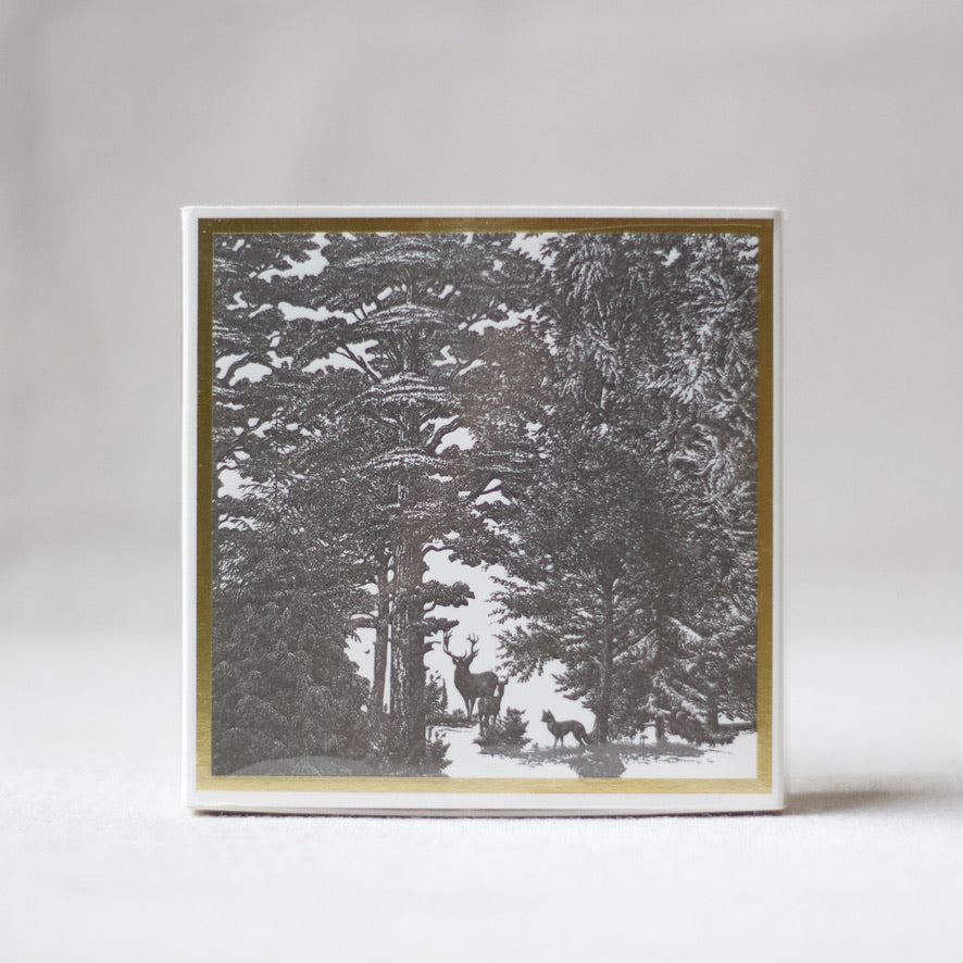Enchanted Forest Matchbox