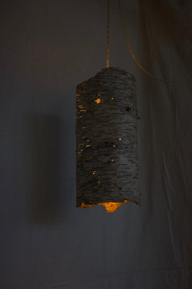 Pendant Birch Hanging Lamp