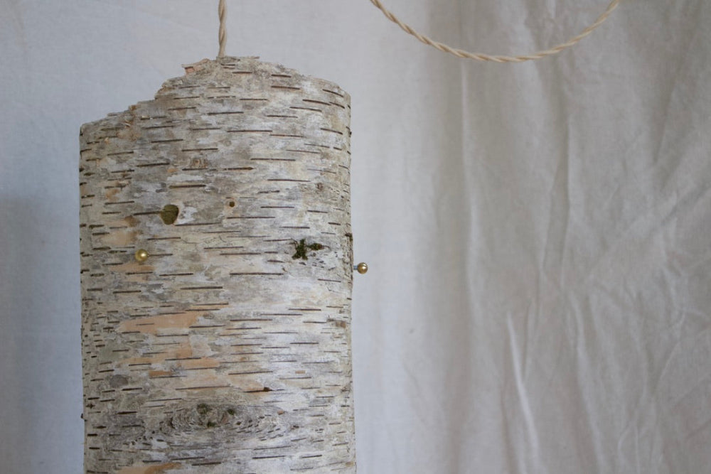 Pendant Birch Hanging Lamp