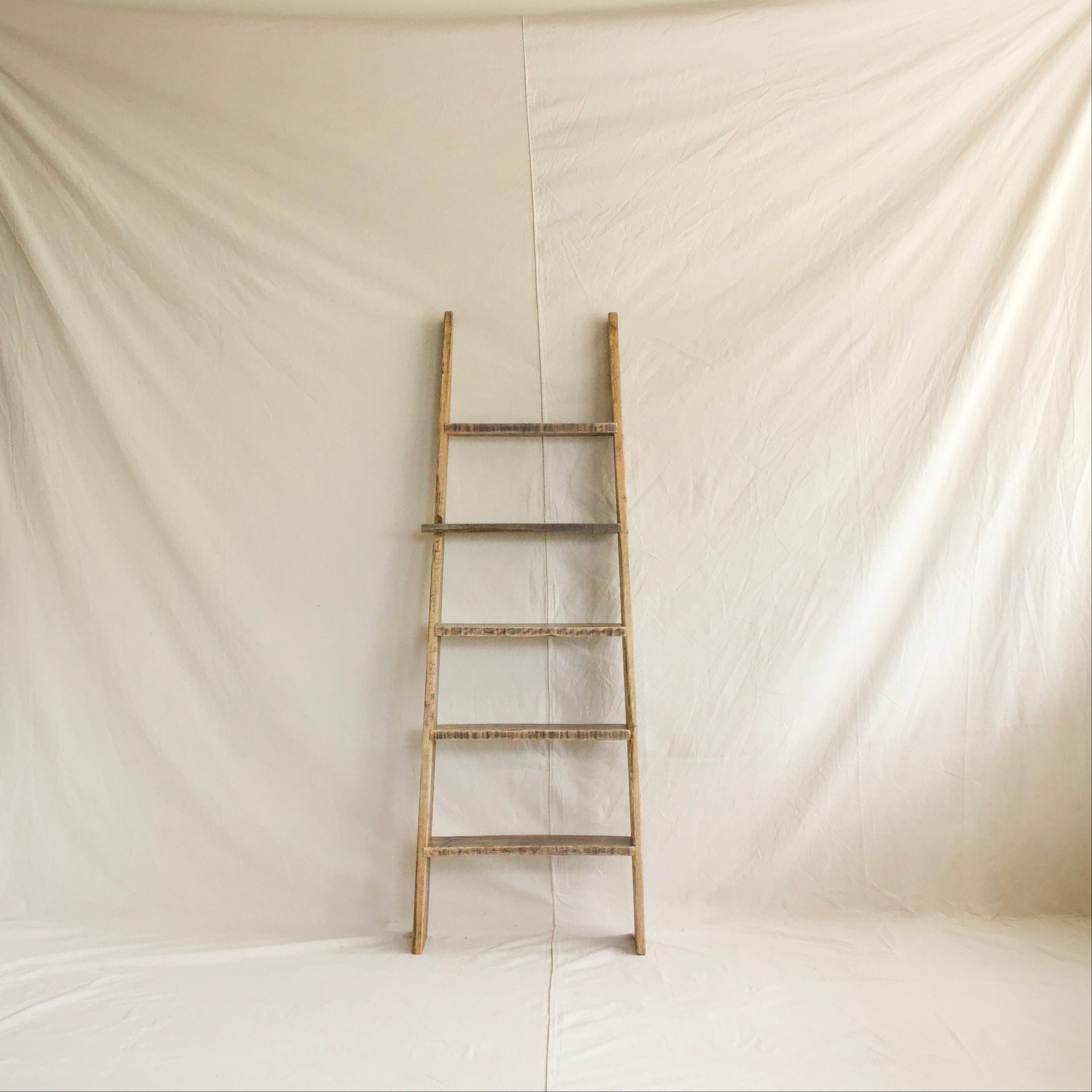 Ladder Bookshelf