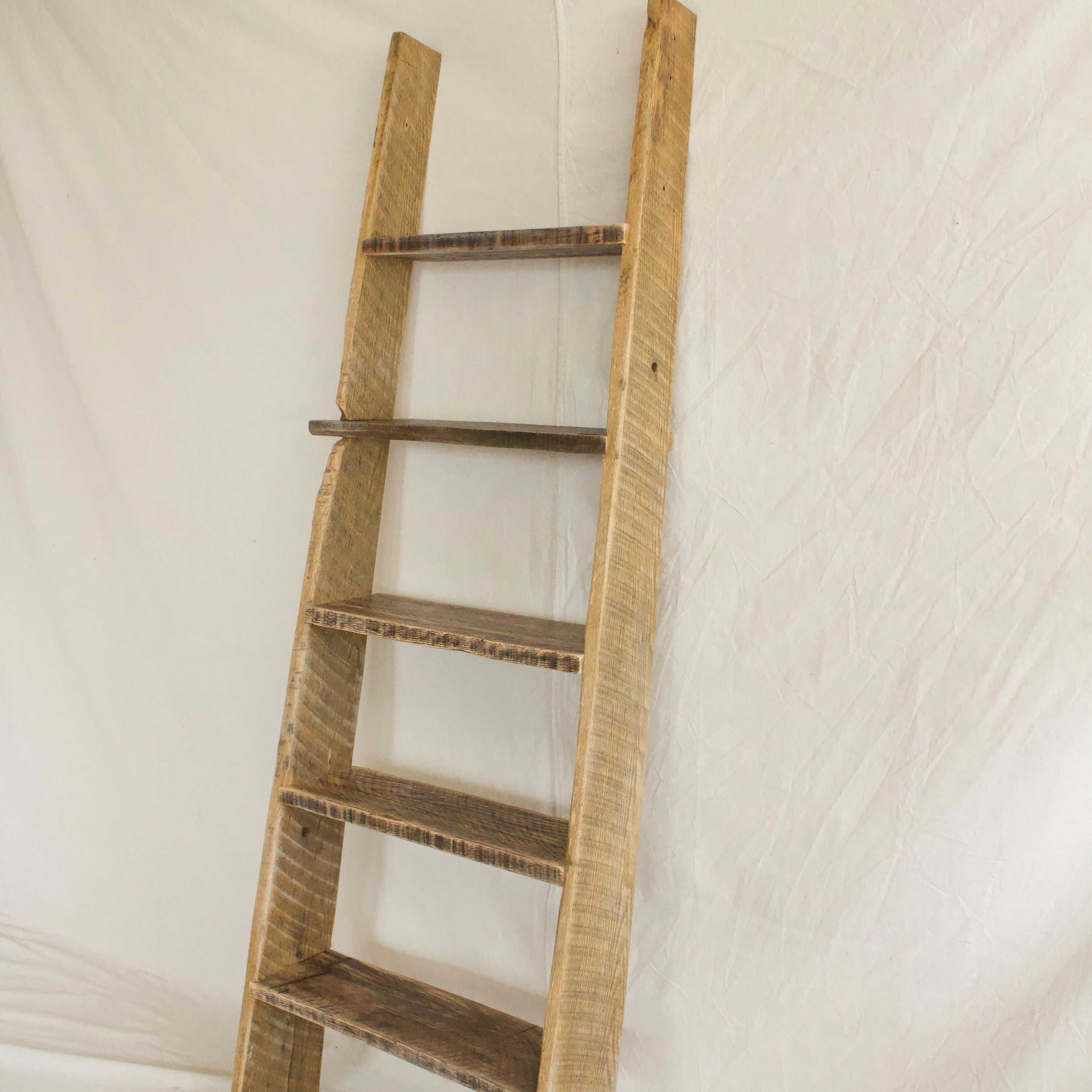 Ladder Bookshelf
