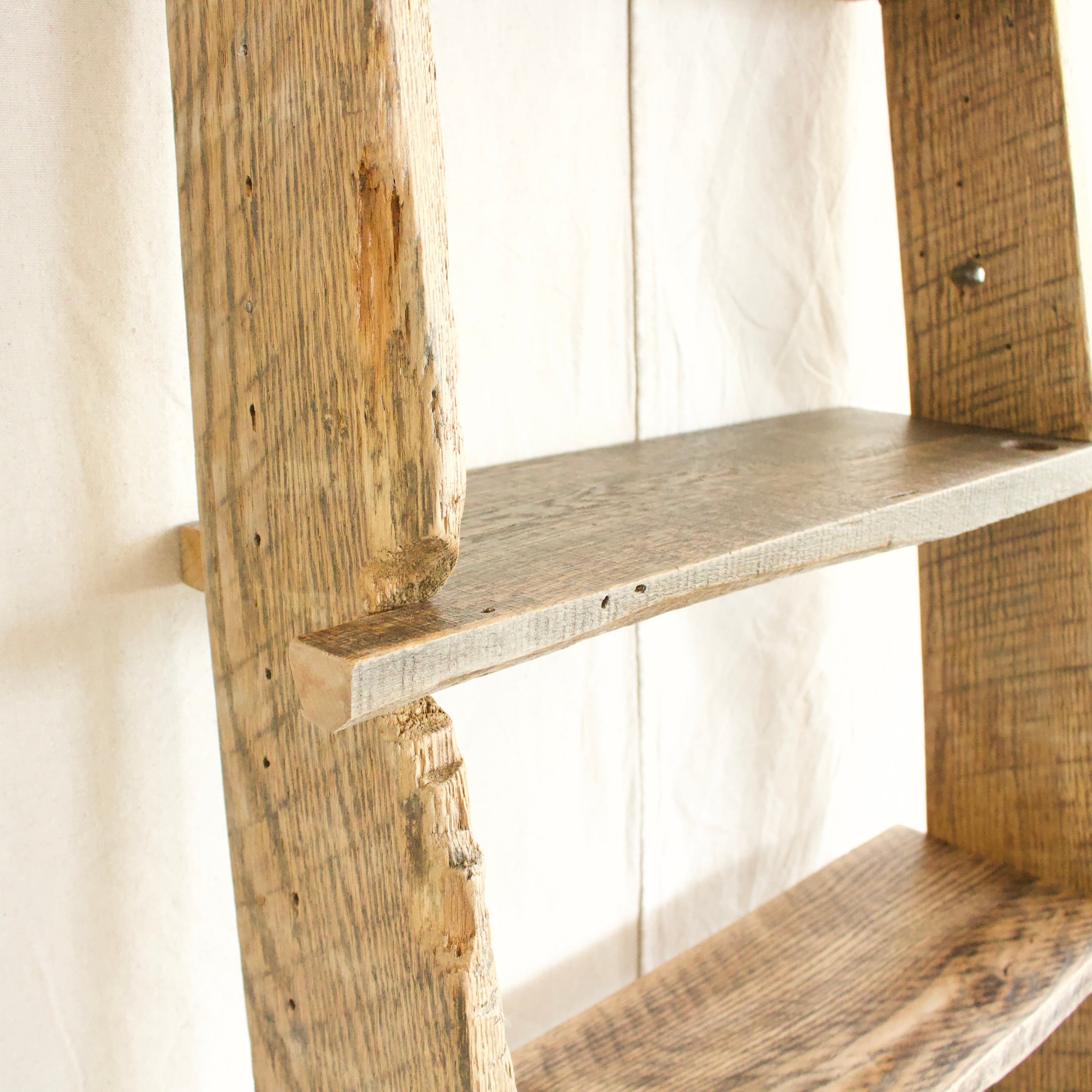 Ladder Bookshelf