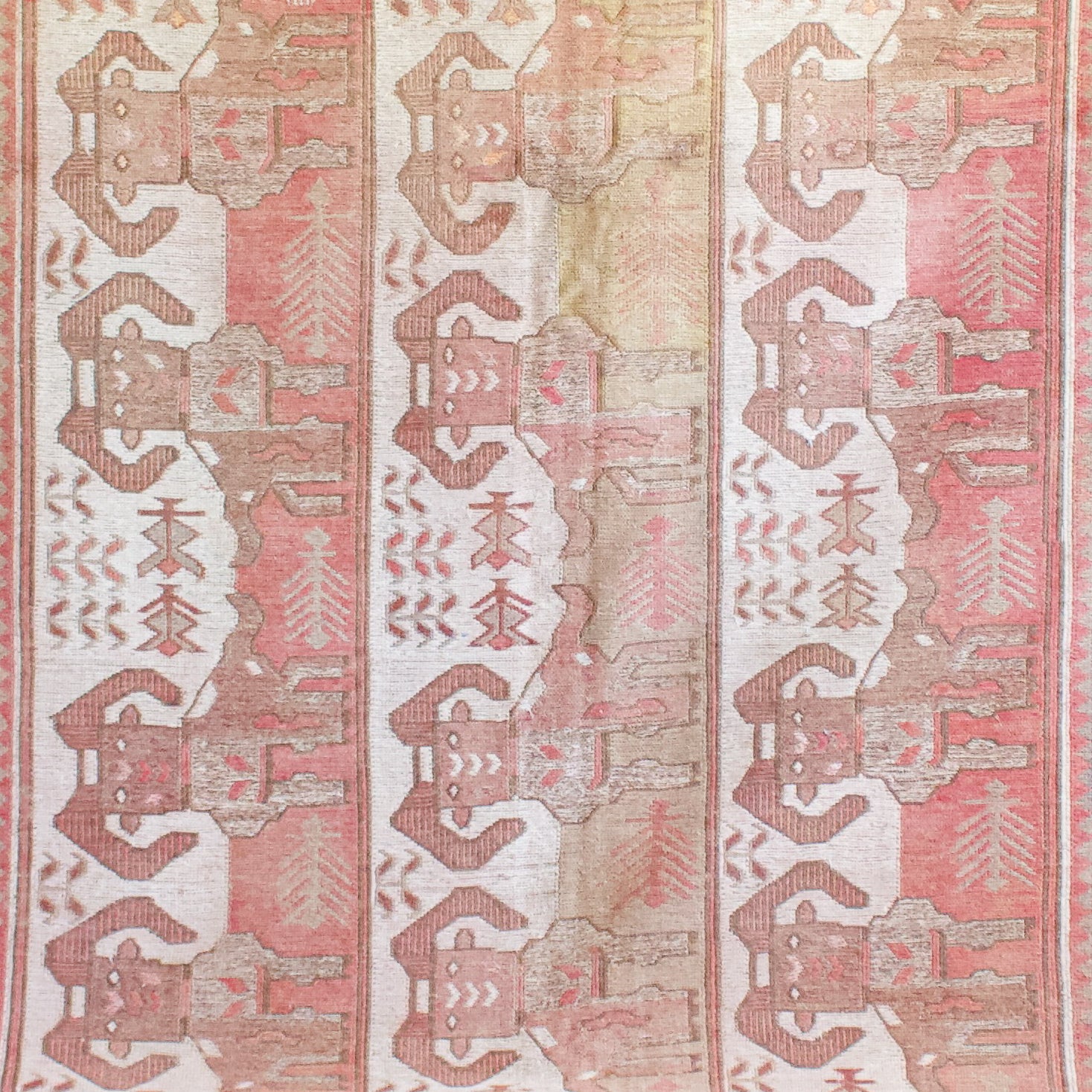 Rug # 31