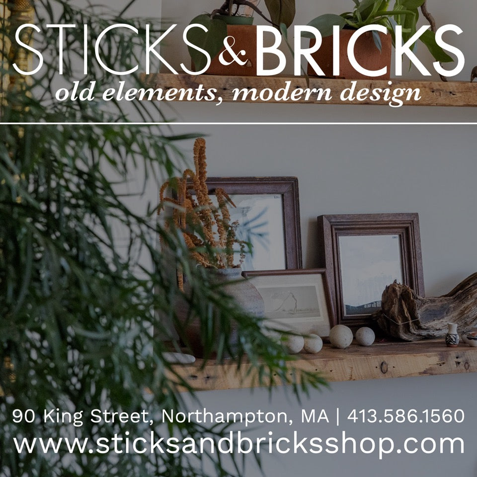 Sticks_BricksDiscoveryAd.jpg